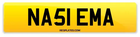 NA51 EMA