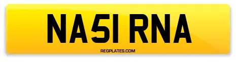 NA51 RNA