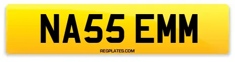 NA55 EMM