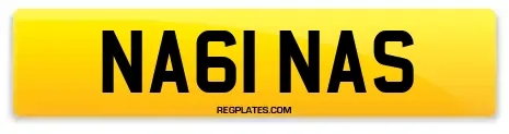NA61 NAS