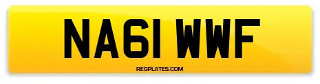 NA61 WWF