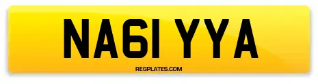 NA61 YYA