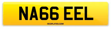 NA66 EEL