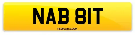 NAB 81T
