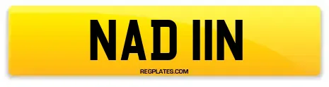NAD 11N