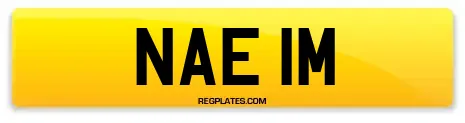 NAE 1M
