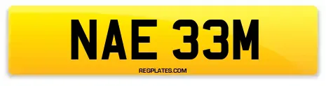 NAE 33M