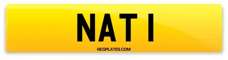 NAT 1
