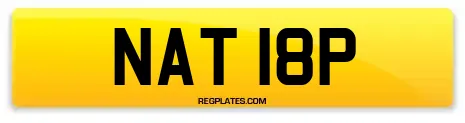 NAT 18P