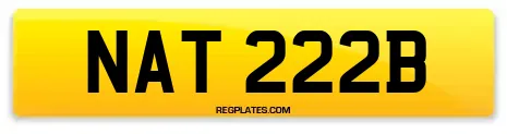 NAT 222B