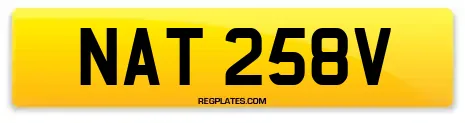 NAT 258V