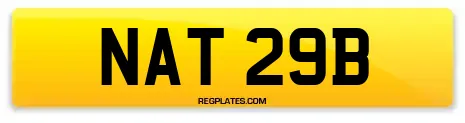 NAT 29B