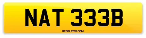 NAT 333B