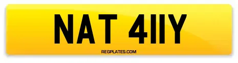 NAT 411Y