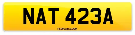 NAT 423A