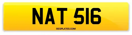 NAT 516