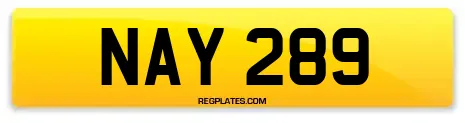 NAY 289