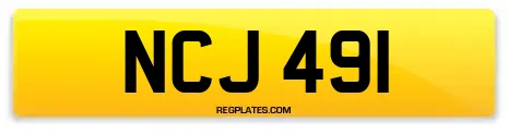 NCJ 491
