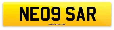 NE09 SAR