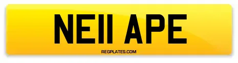 NE11 APE