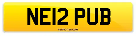 NE12 PUB