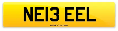 NE13 EEL