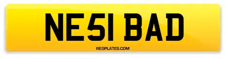 NE51 BAD
