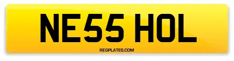 NE55 HOL