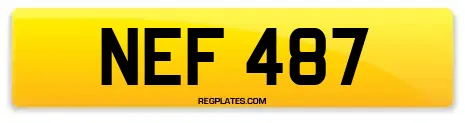 NEF 487