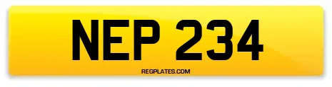 NEP 234