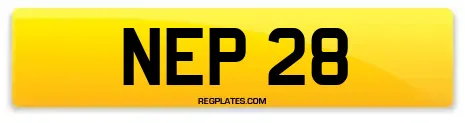NEP 28