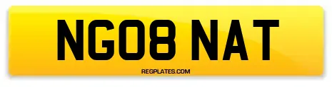 NG08 NAT