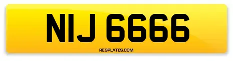 NIJ 6666