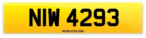 NIW 4293