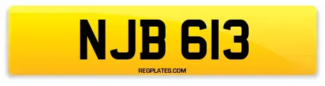 NJB 613
