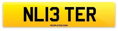 NL13 TER