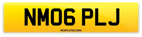 NM06 PLJ