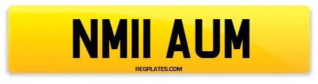 NM11 AUM