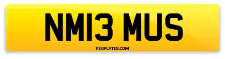 NM13 MUS