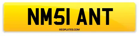 NM51 ANT
