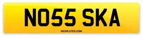 NO55 SKA