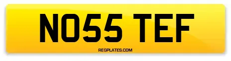 NO55 TEF