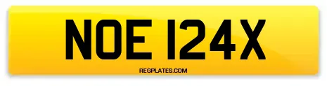 NOE 124X