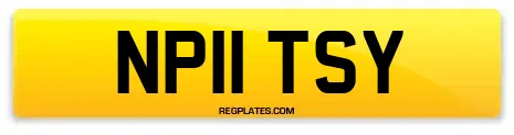 NP11 TSY