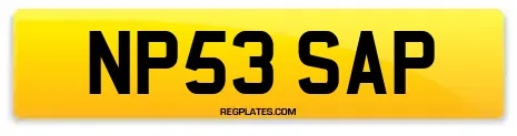 NP53 SAP