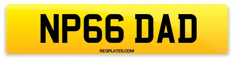 NP66 DAD