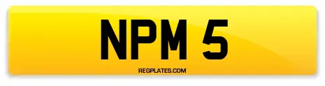 NPM 5