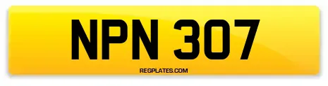 NPN 307