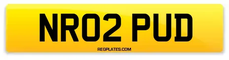 NR02 PUD