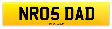 NR05 DAD